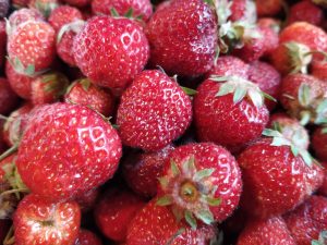 Erdbeeren sind lecker und gesund